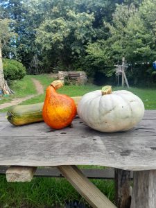 Fête de la courge 2025